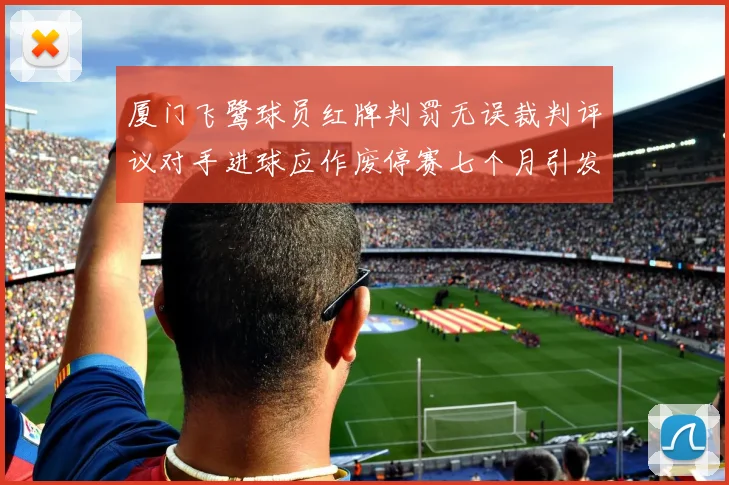 厦门飞鹭球员红牌判罚无误裁判评议对手进球应作废停赛七个月引发热议
